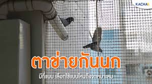 ตาข่ายกันนกติดตั้งบริเวณไหนได้บ้าง?