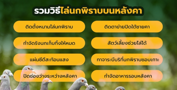 การป้องกันนกตามจุดต่าง ๆ ของบ้าน