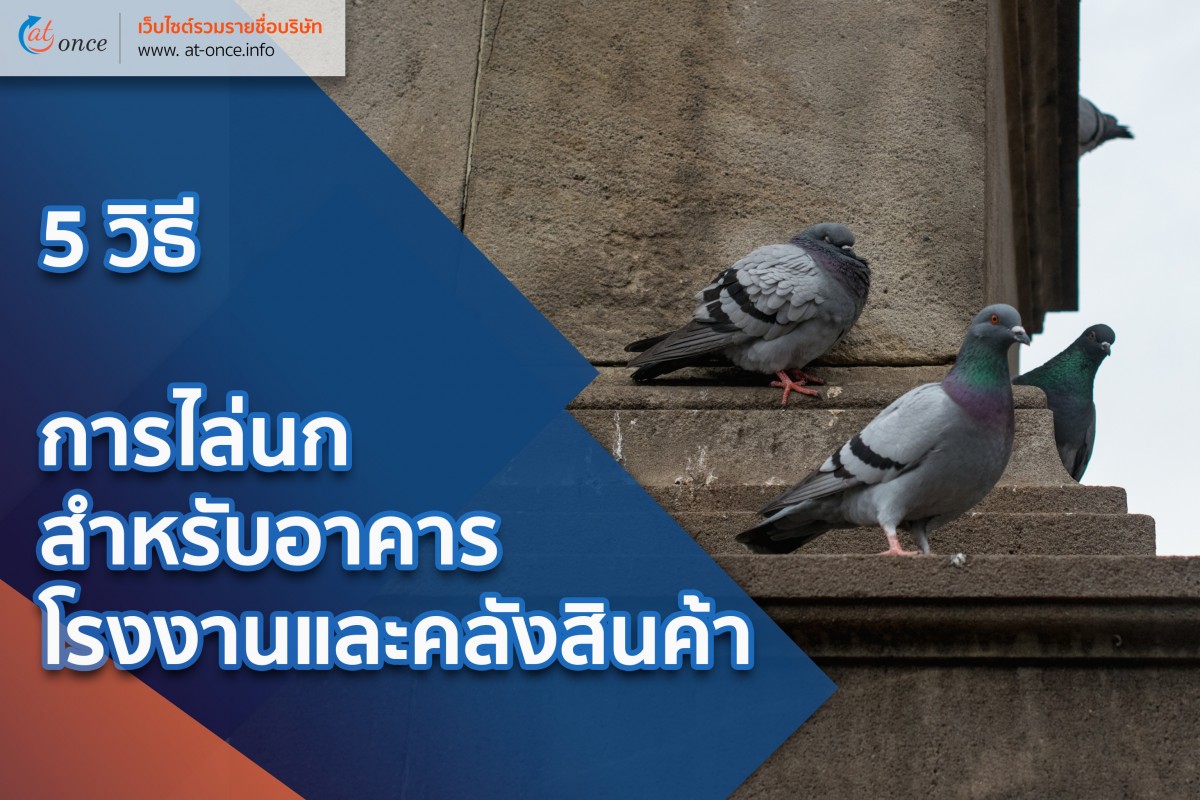 วิธีป้องกันนกในโรงงานโดยไม่ผิดกฎหมายคุ้มครองสัตว์