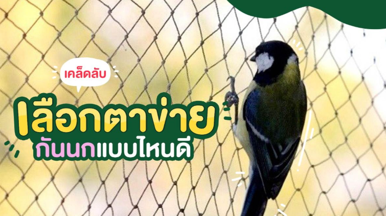 วิธีเลือกตาข่ายกันนกให้เหมาะกับการใช้งาน