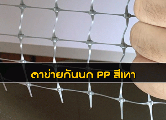 ตาข่ายเหล็กกันนก วัสดุป้องกันนกที่นิยมใช้ในงานรั้วตาข่าย