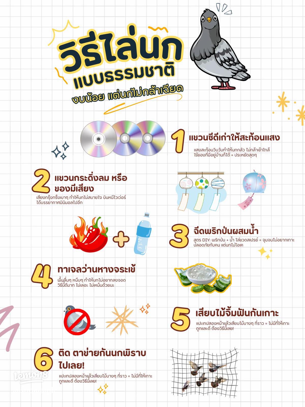 อุปกรณ์ไล่นกแบบไม่ทำร้าย ป้องกันนกอย่างปลอดภัยและได้ผล